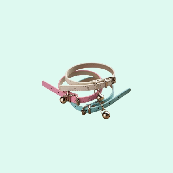 belt2(4)