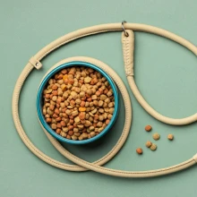 pet27